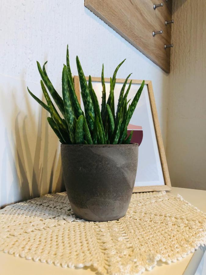 Apartma Domenika Ptuj Exteriér fotografie
