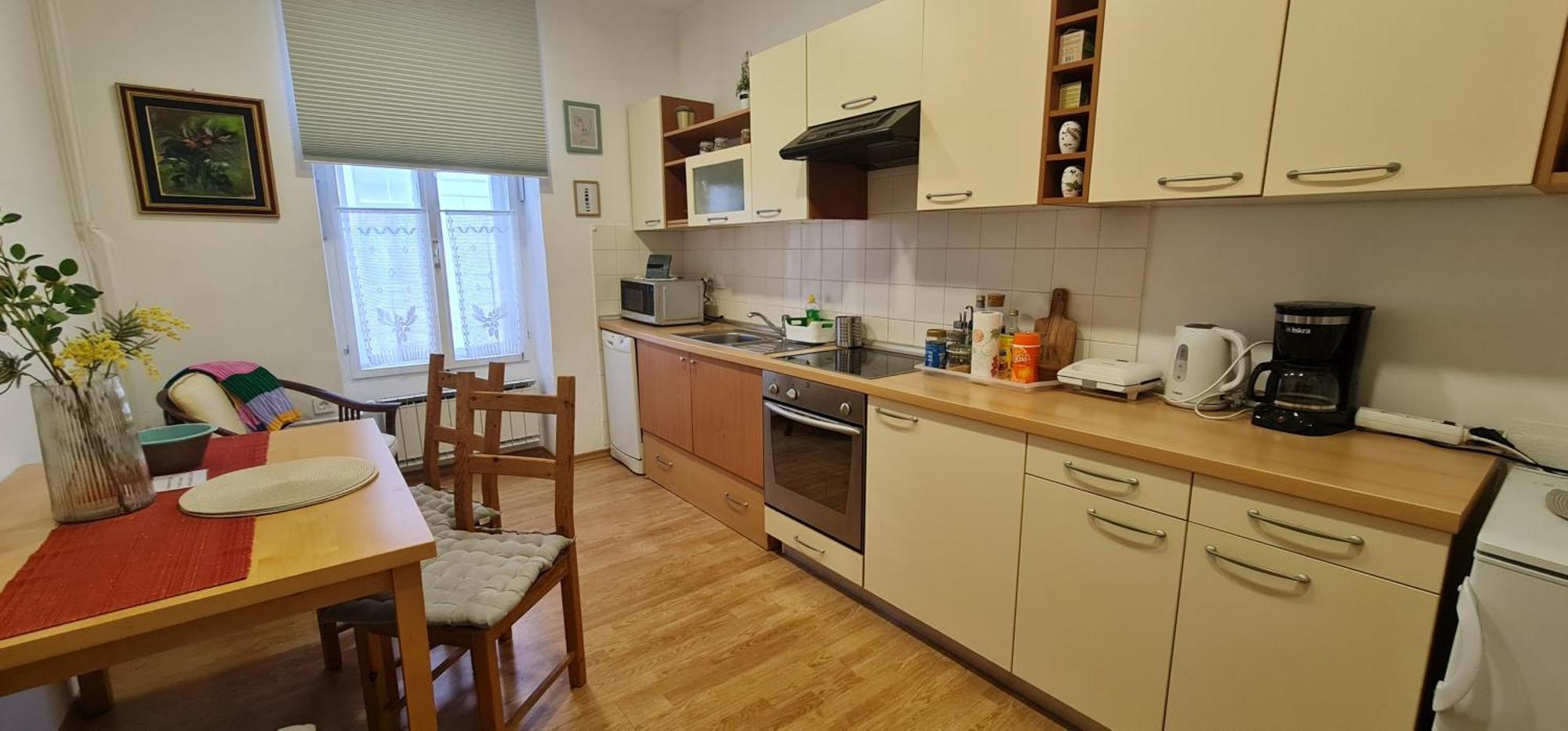 Apartma Domenika Ptuj Exteriér fotografie